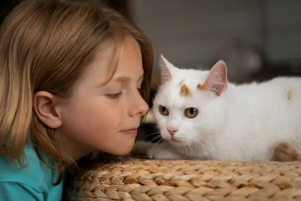 Criança e gato seguros em casa
